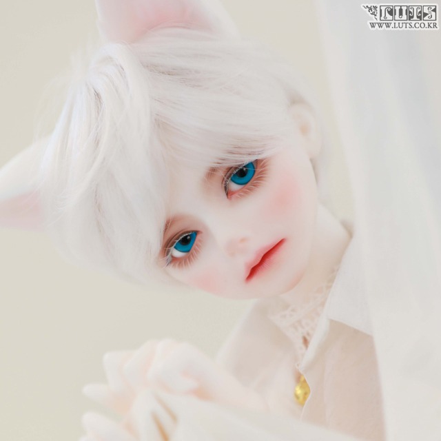 LUTS Muse BLISS Blossom ver Limited ヘッド