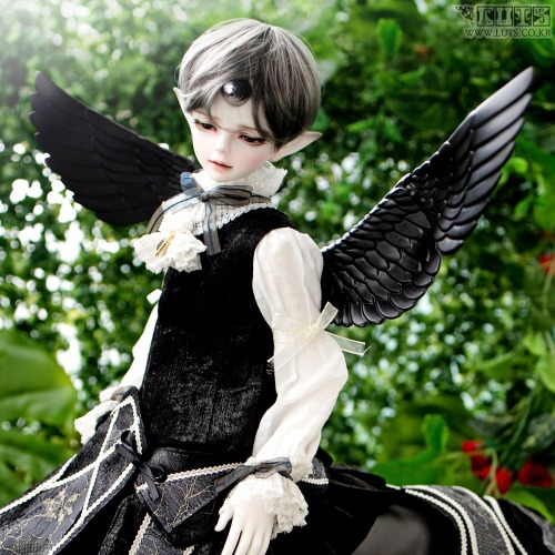 WINGS PARTS BLACK ver.(For HDF~MDF)