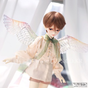 WINGS PARTS (Pearl Transparent Skin Limited) (For HDF~MDF)